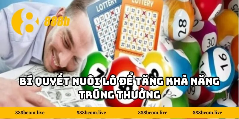 Bí quyết nuôi lô để tăng khả năng trúng thưởng